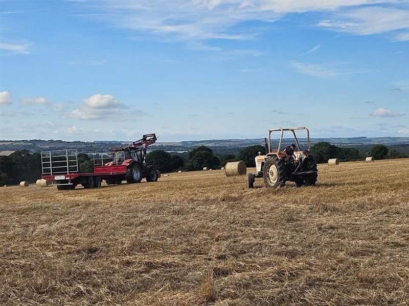 Farmers at work